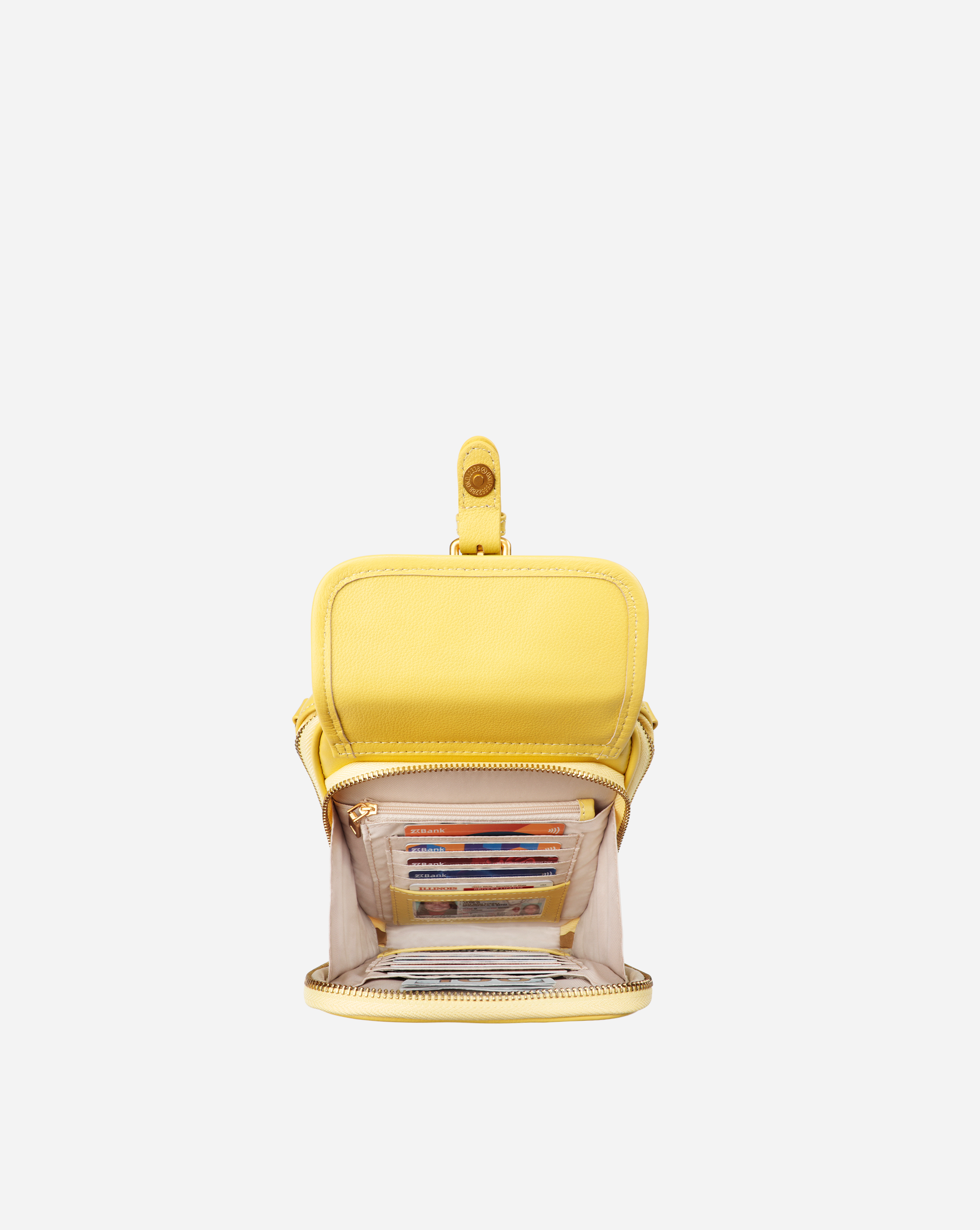 #color_yellow