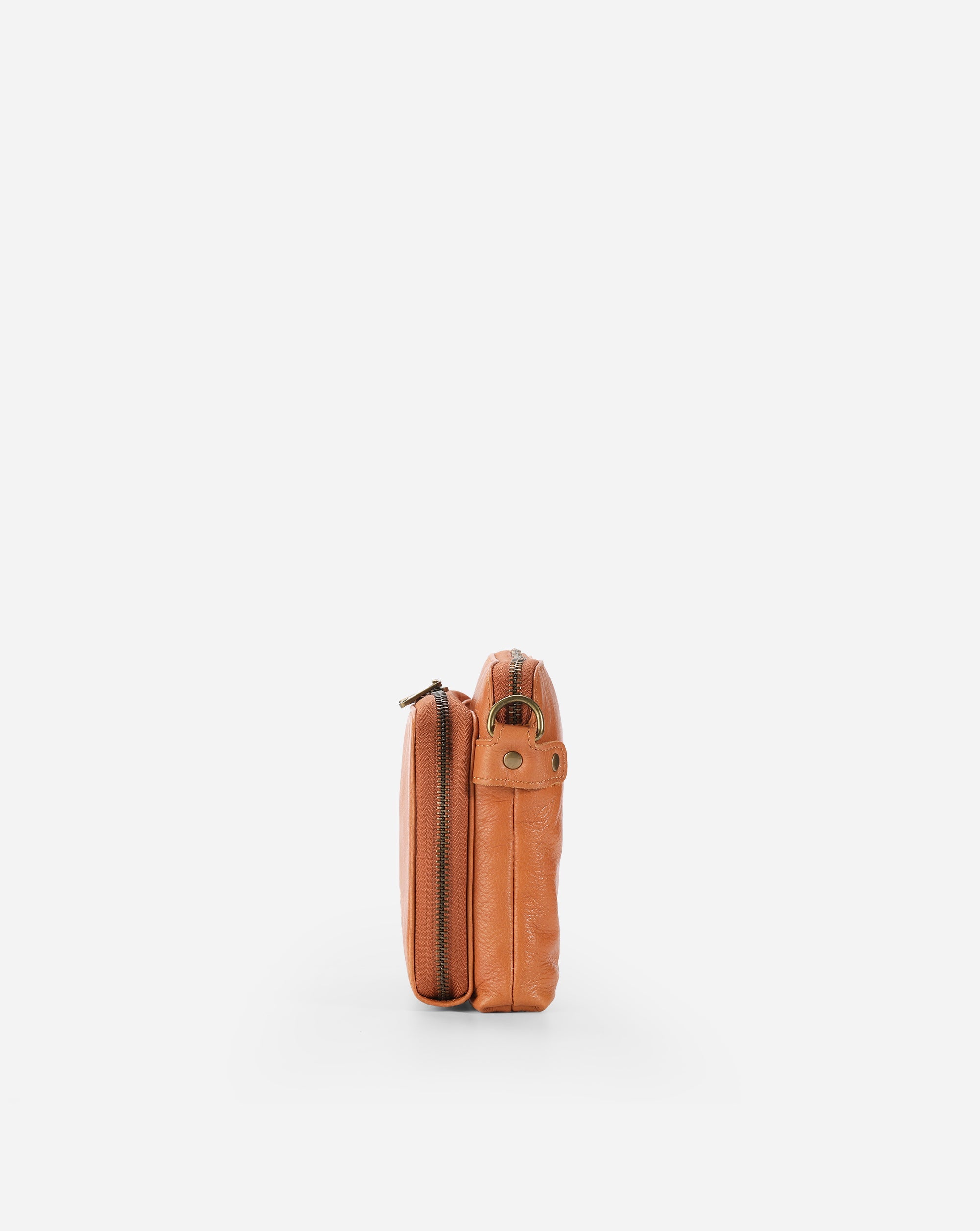 #color_brown